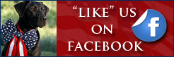 "LIKE" Stars & Stripes Patriotic Jewelry on Facebook!